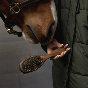 Doppelseitige Mähnenbürste