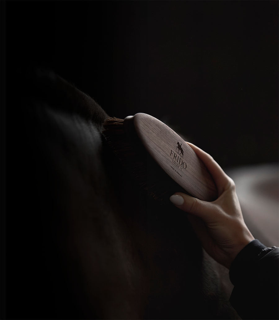 Wurzelbürste aus Nussbaumholz mit Lasergravur am Hals eines braunen Pferdes, dunkles Licht, schwarzer Hintergrund