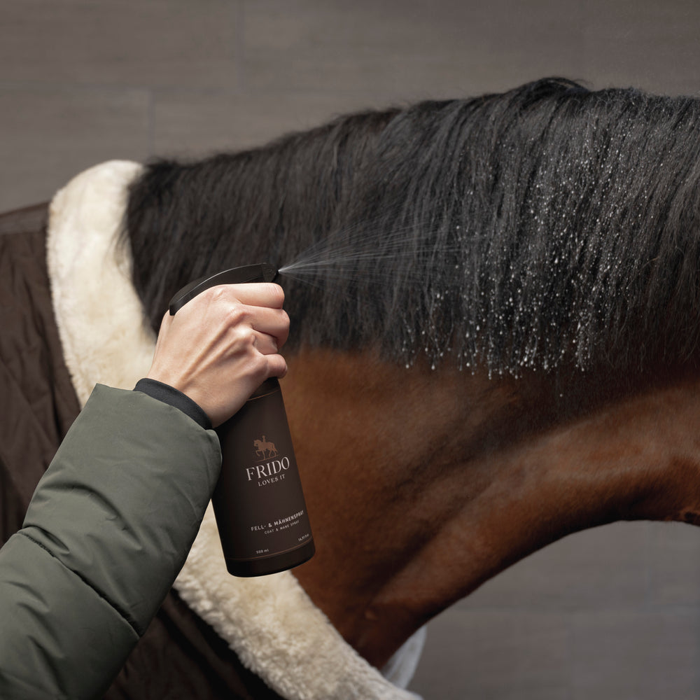 Fell- und Mähnenspray