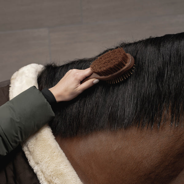 Doppelseitige Mähnenbürste